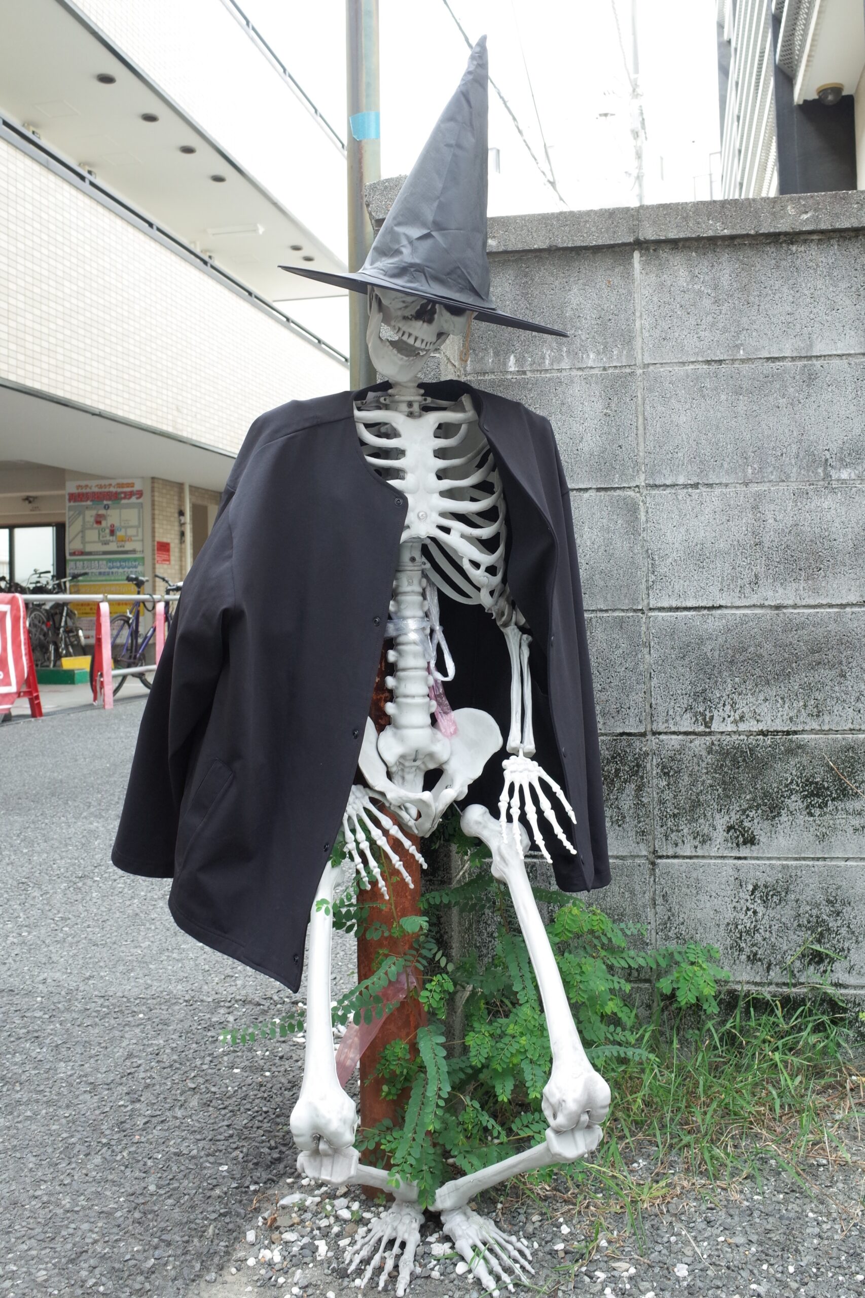 上着を着せられた骸骨の人形